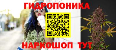 ГАЛЛЮЦИНОГЕННЫЕ ГРИБЫ Пенза