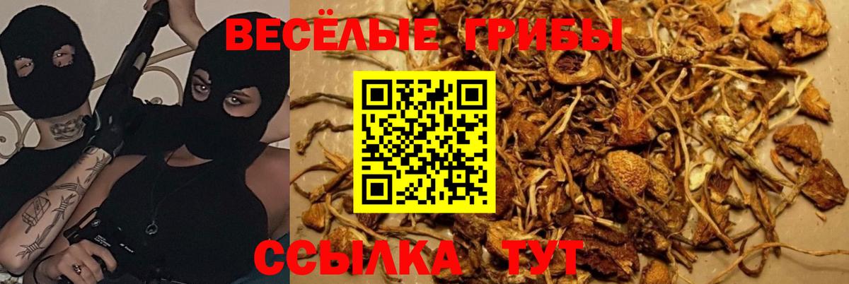 Псилоцибиновые грибы мицелий  Вход с VPN  Вязьма 
